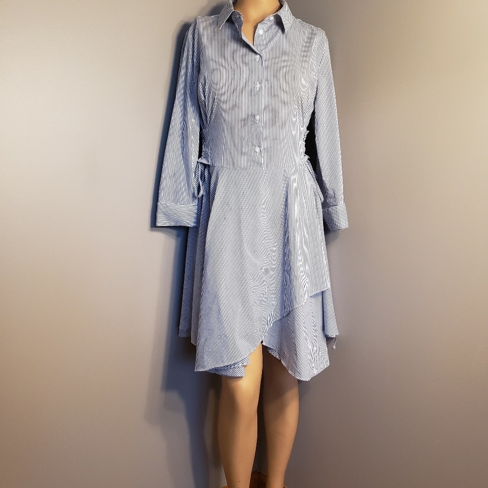 Barlll blue and white dress